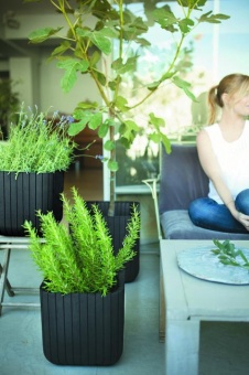 Кашпо Куб L (CUBE PLANTER L) 50,5 л.
