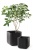 Кашпо Куб L (CUBE PLANTER L) 50,5 л. Кашпо Куб L (CUBE PLANTER L) 50,5 л.